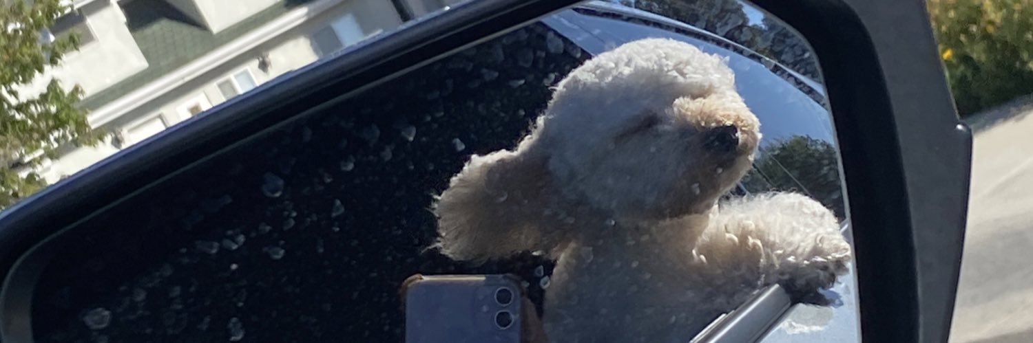 notnimsir's profile banner image
