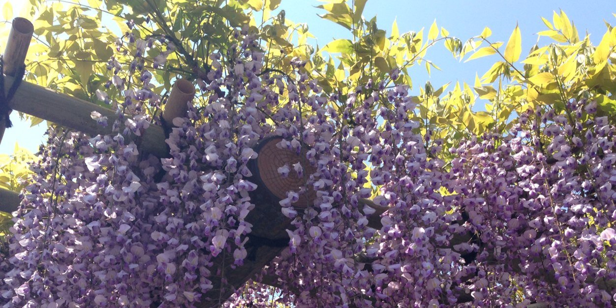 Keisj132's profile banner image