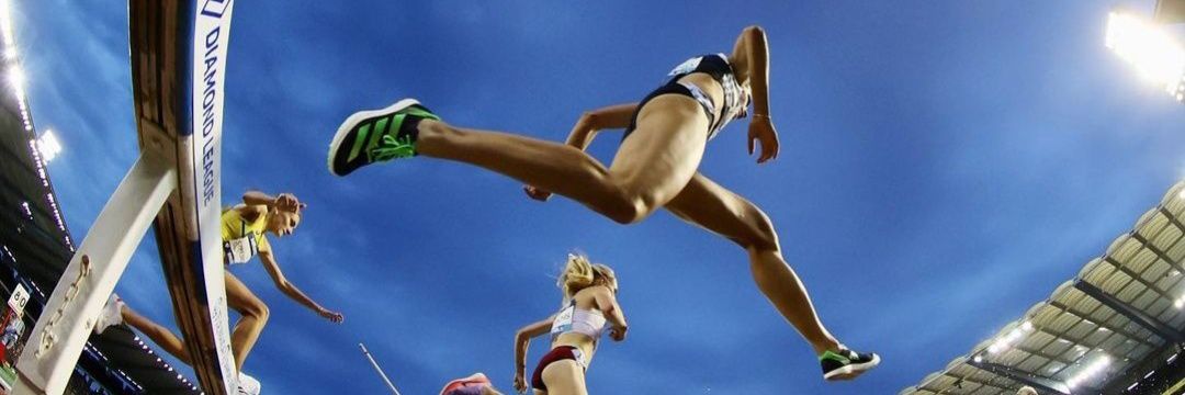 Irene Sánchez-Escribano banner