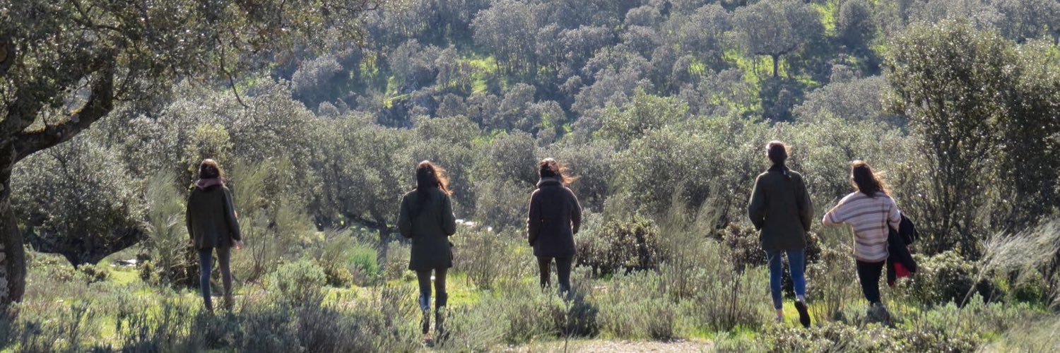 luciararias's profile banner image