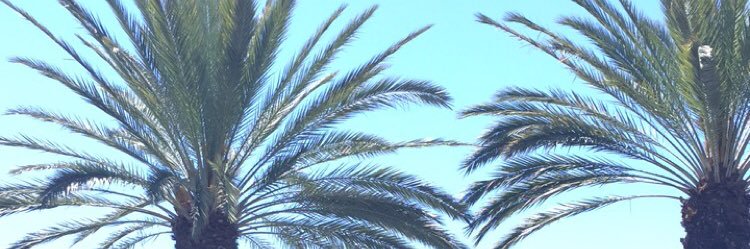 kmajor270's profile banner image