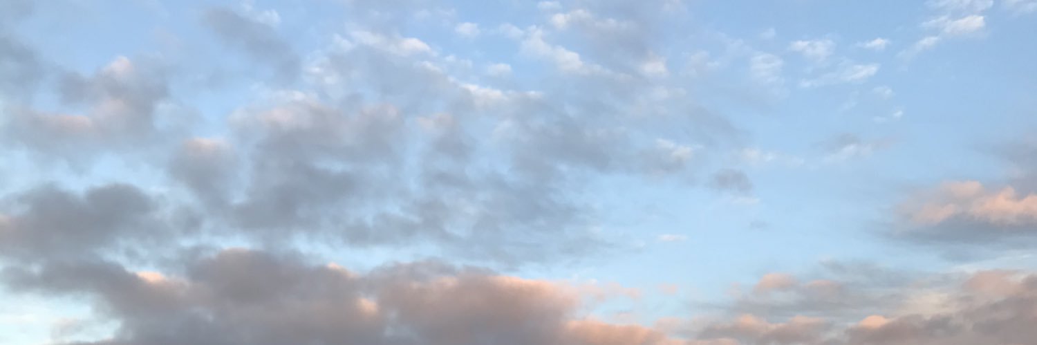 criaIaska's profile banner image