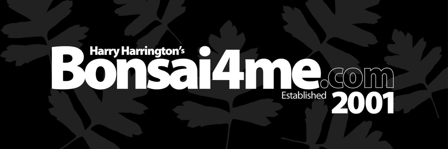 b4me_com's profile banner image