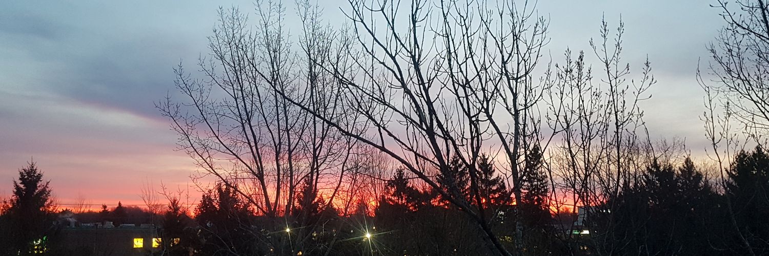 canuckbird's profile banner image