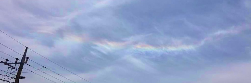 𝓑𝓮𝓻𝓻𝔂️🌸 banner