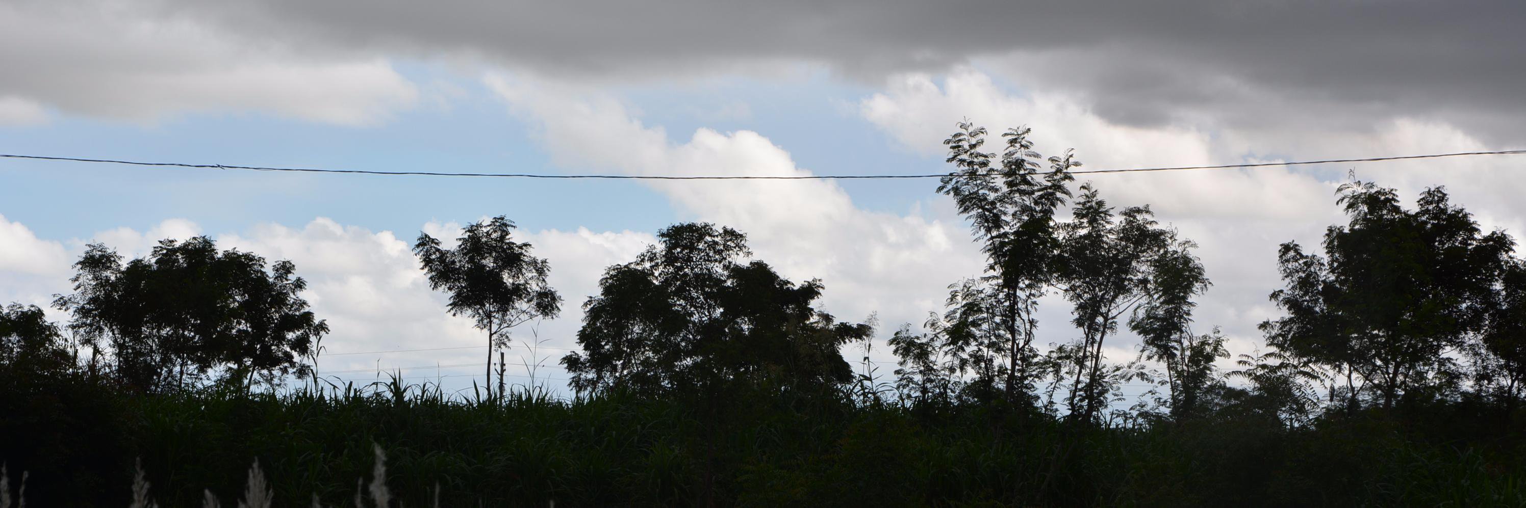 NetiSrinivasan's profile banner image
