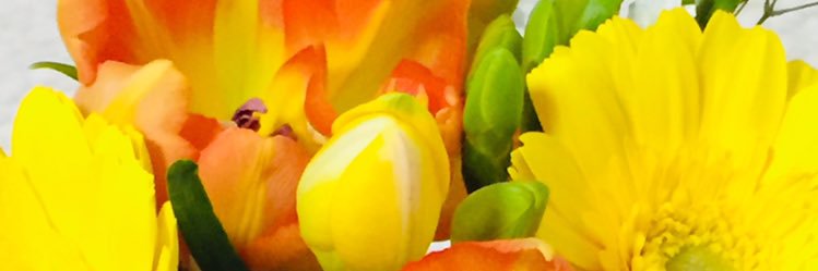Sawa8828's profile banner image