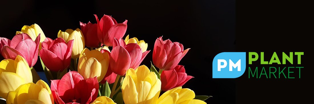 PlantMarketBV's profile banner image