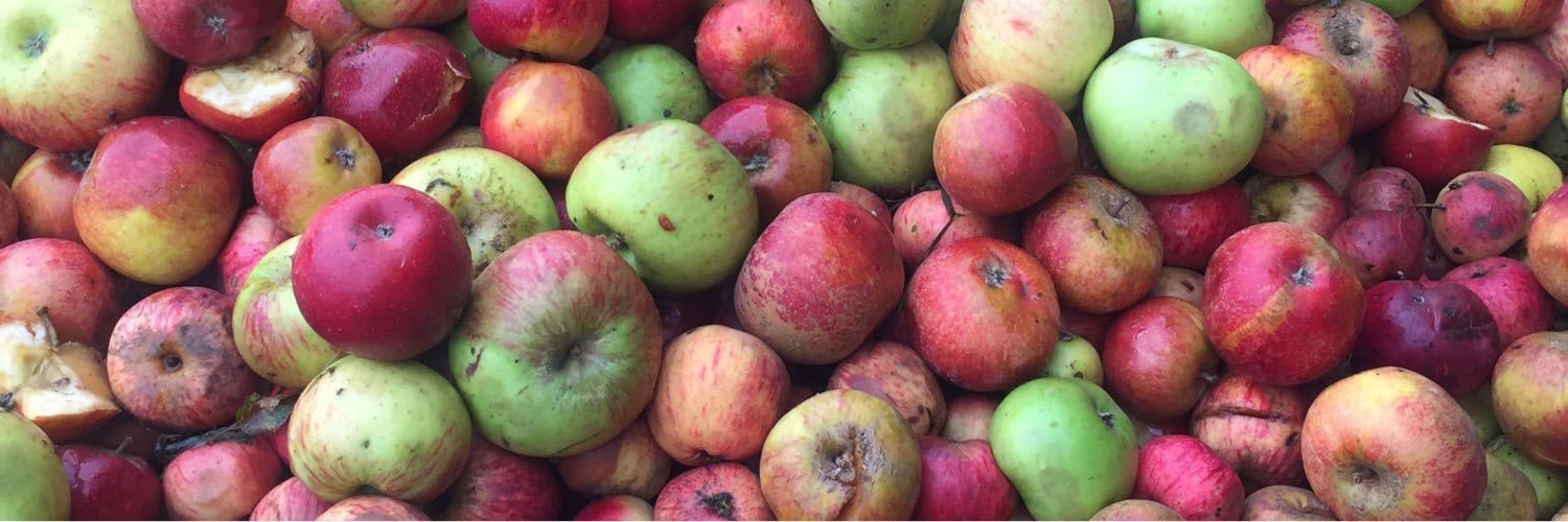 Millwhites Cider banner