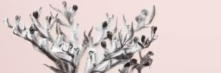 ApipahAP's profile banner image