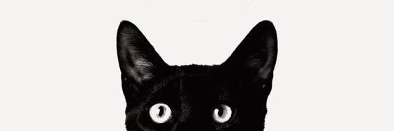 Solanzzz's profile banner image