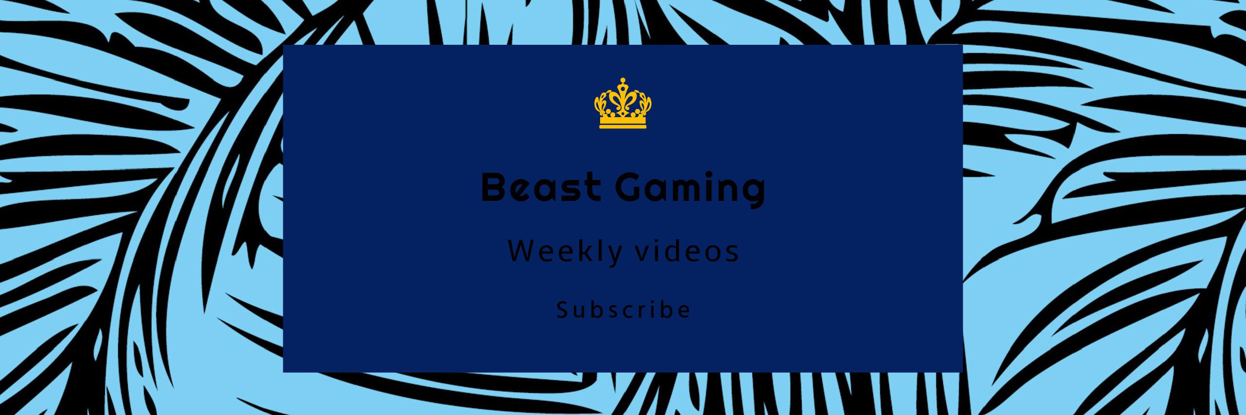 BeastGamingYT_'s profile banner image