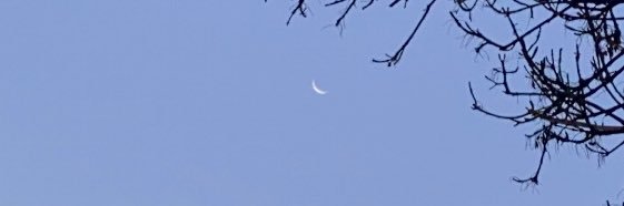 Miray Çavuşoğlu banner