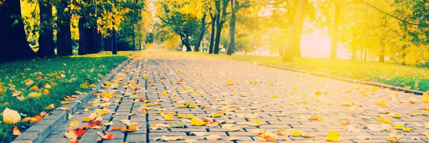 FerhatDenizzmen's profile banner image