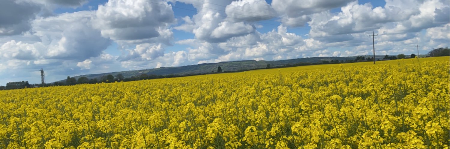 Gemma Merrins banner
