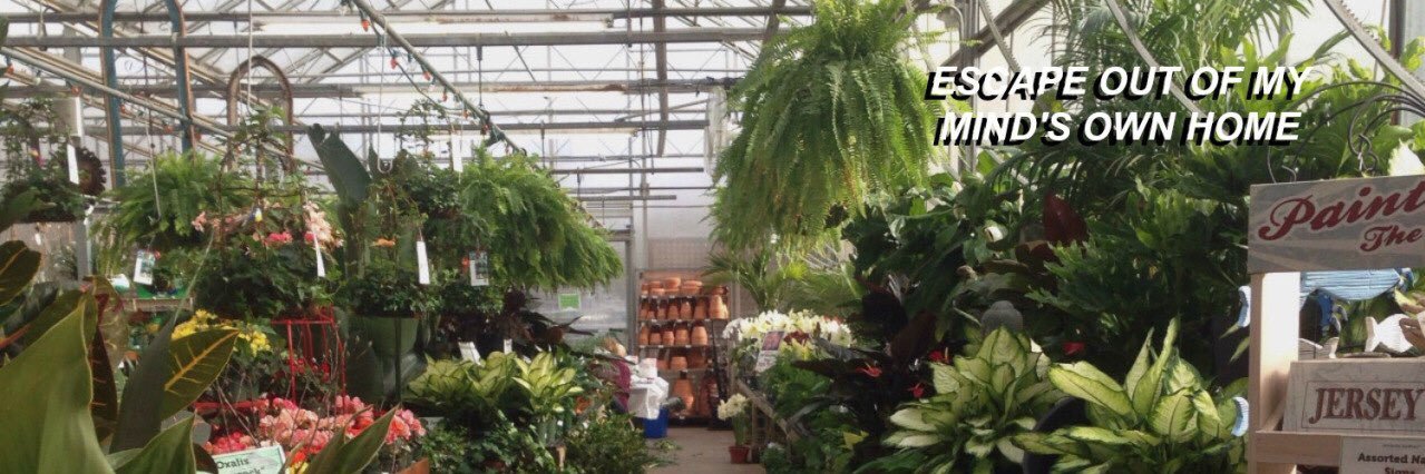__MATE_'s profile banner image