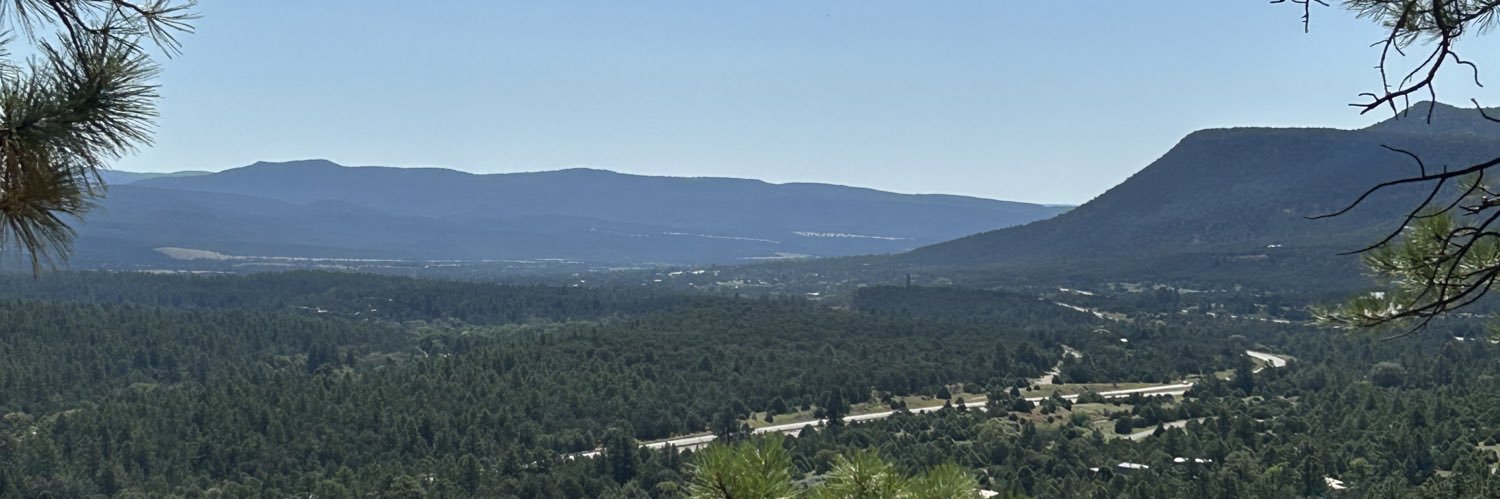 Gerbrak's profile banner image