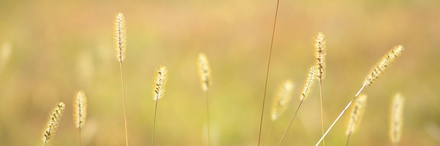 T__Hara's profile banner image