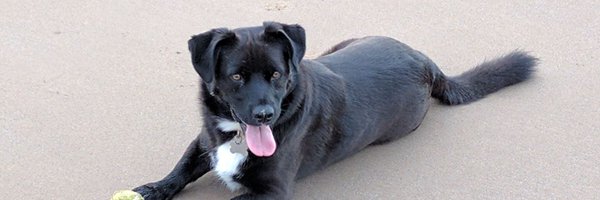 noni_may Profile Banner