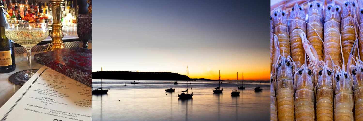 ThisMagnificentLife banner