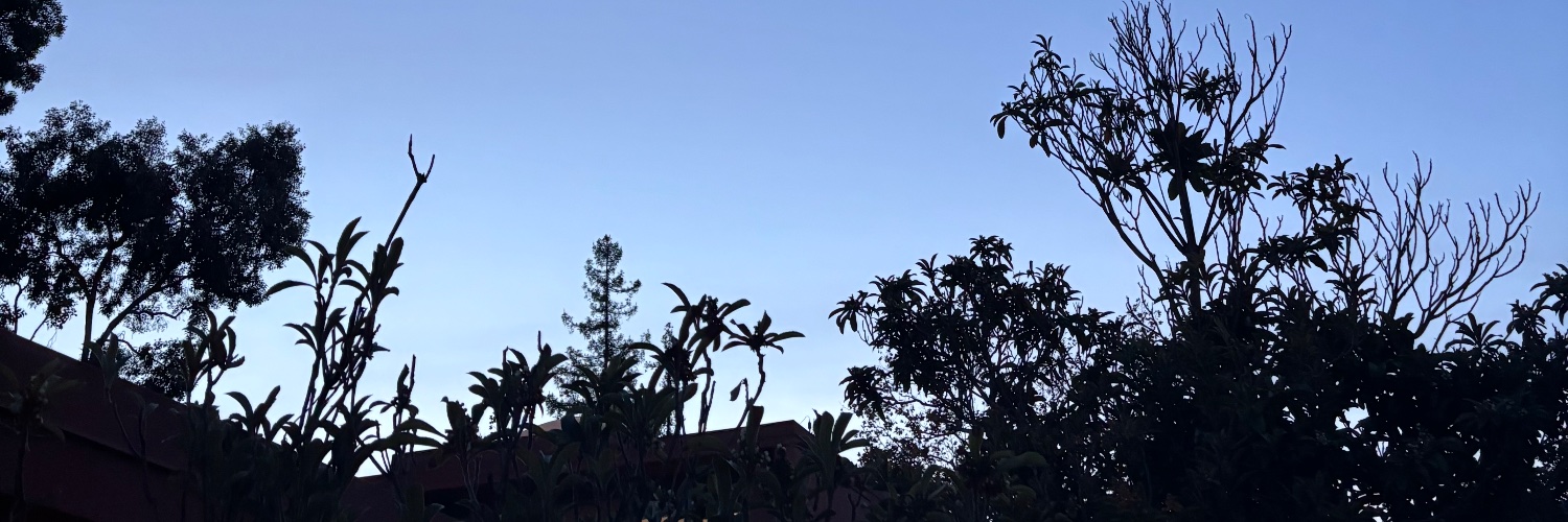 shannonryall's profile banner image
