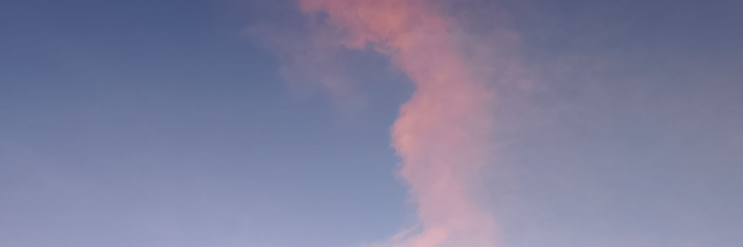 b_bunyy's profile banner image