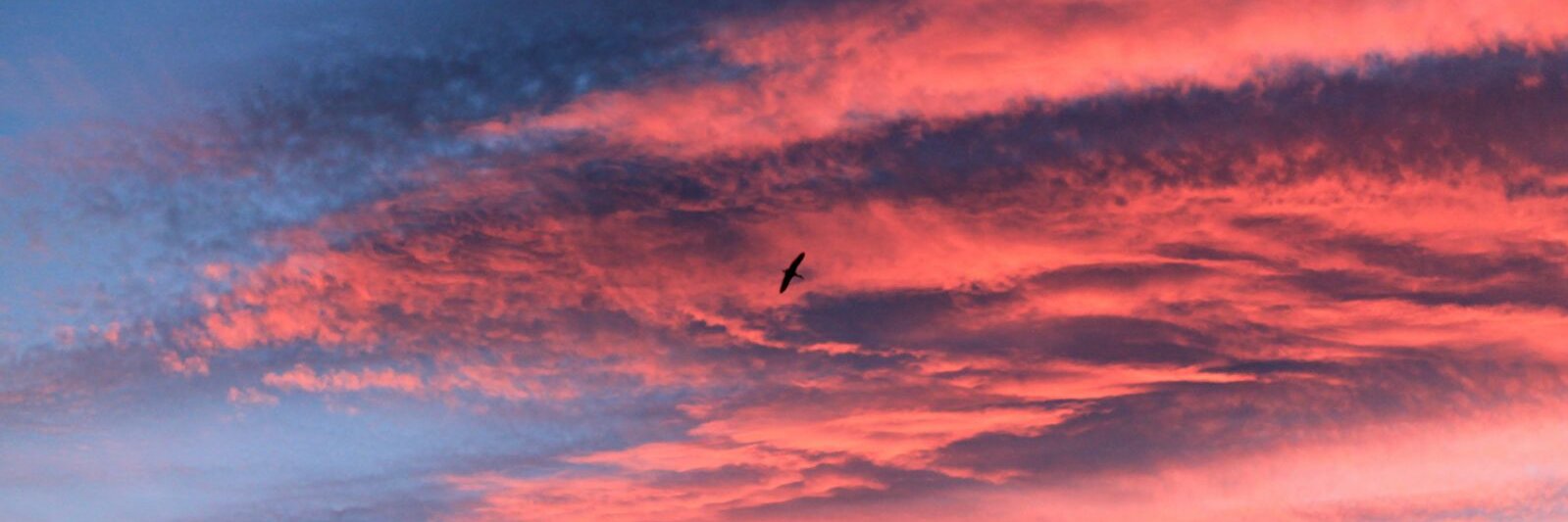 alaitzlarrea's profile banner image