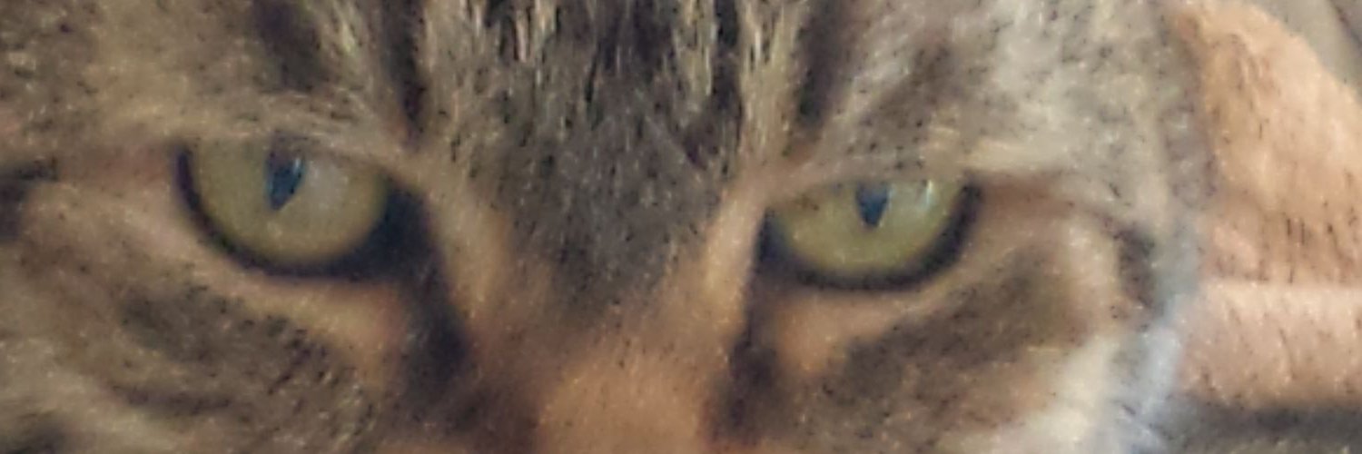 Liz Ex Labour banner