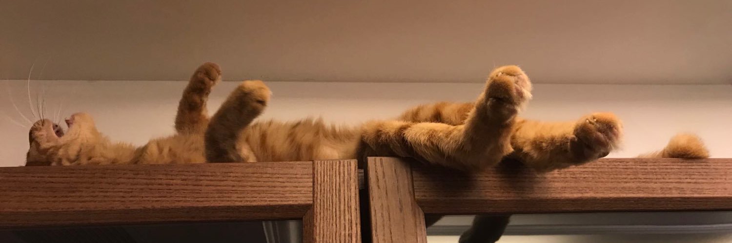 OrangeTheSlient's profile banner image