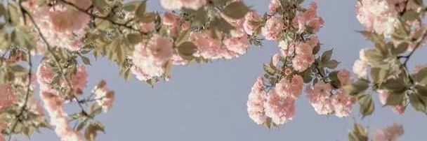 souki_x's profile banner image