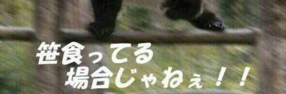 rok_draryu's profile banner image