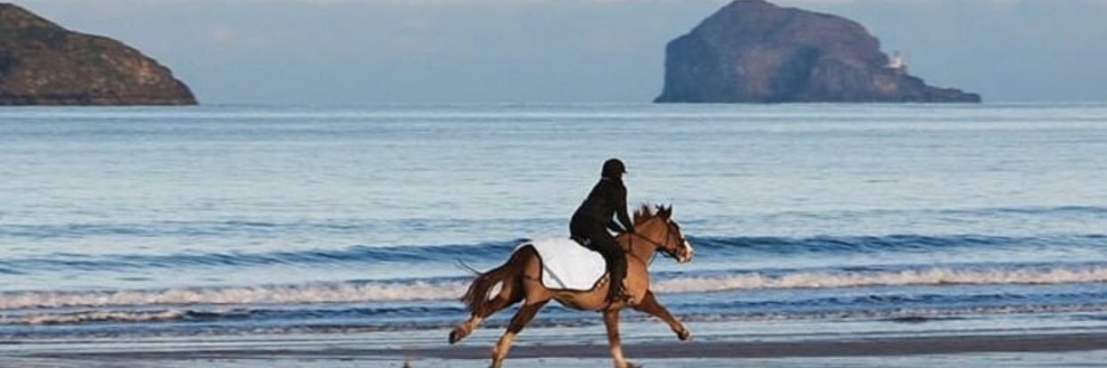 AMahfouz23's profile banner image