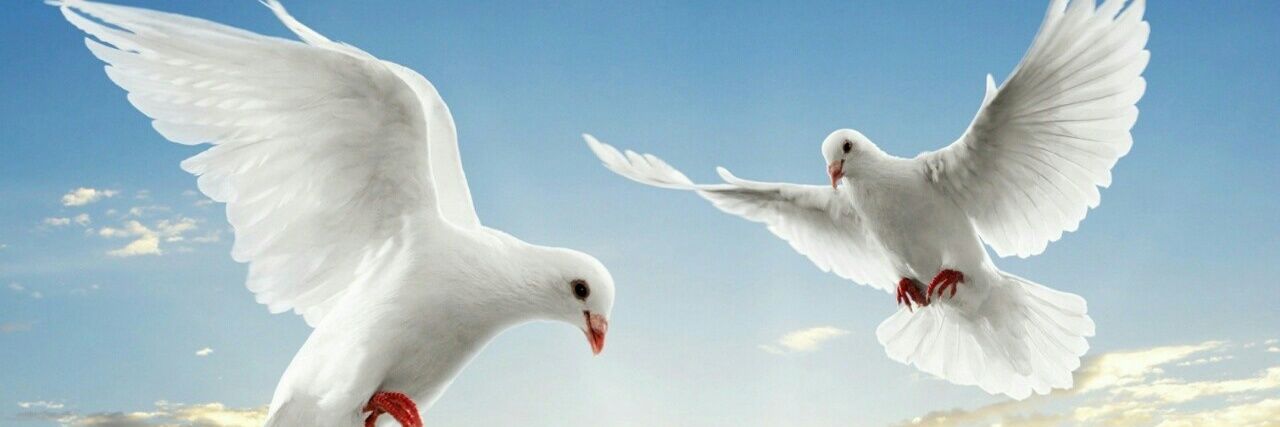 jali_gebang's profile banner image