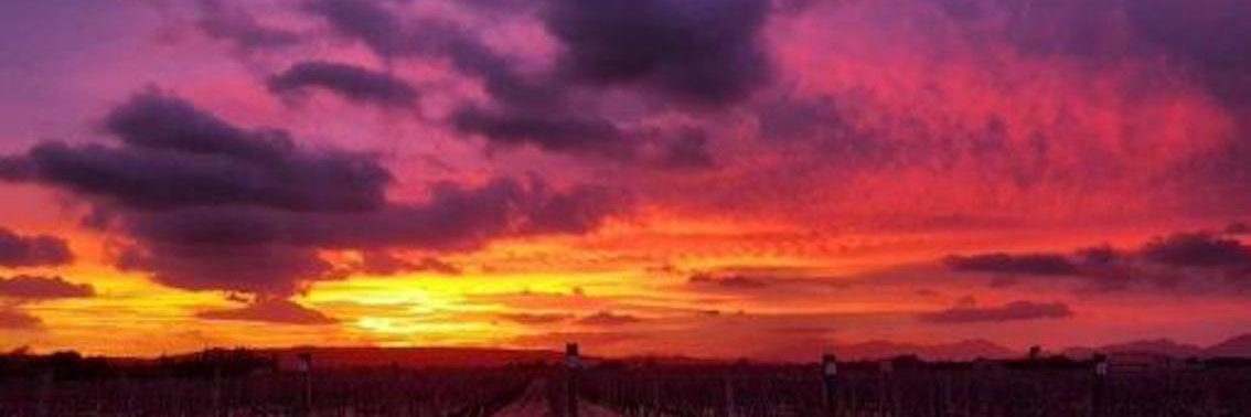 Majorca Daily banner