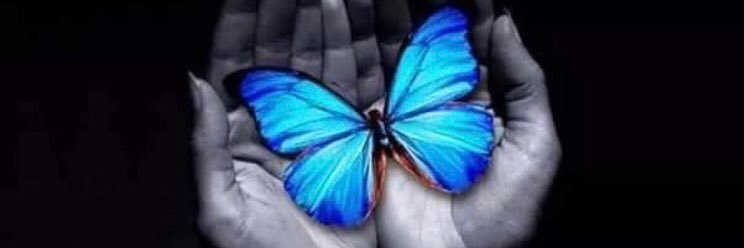 TinaPhillips77's profile banner image