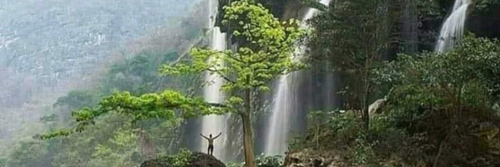 Edgar Peralta banner