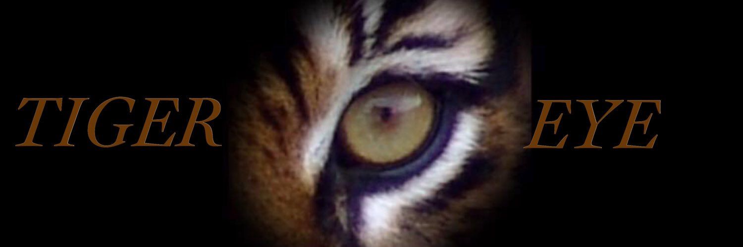 EricLonline's profile banner image