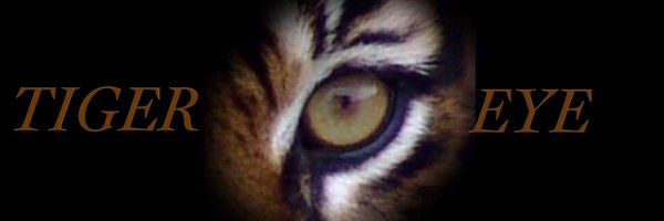 EricLonline Profile Banner