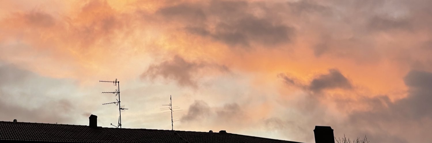 mikel banner