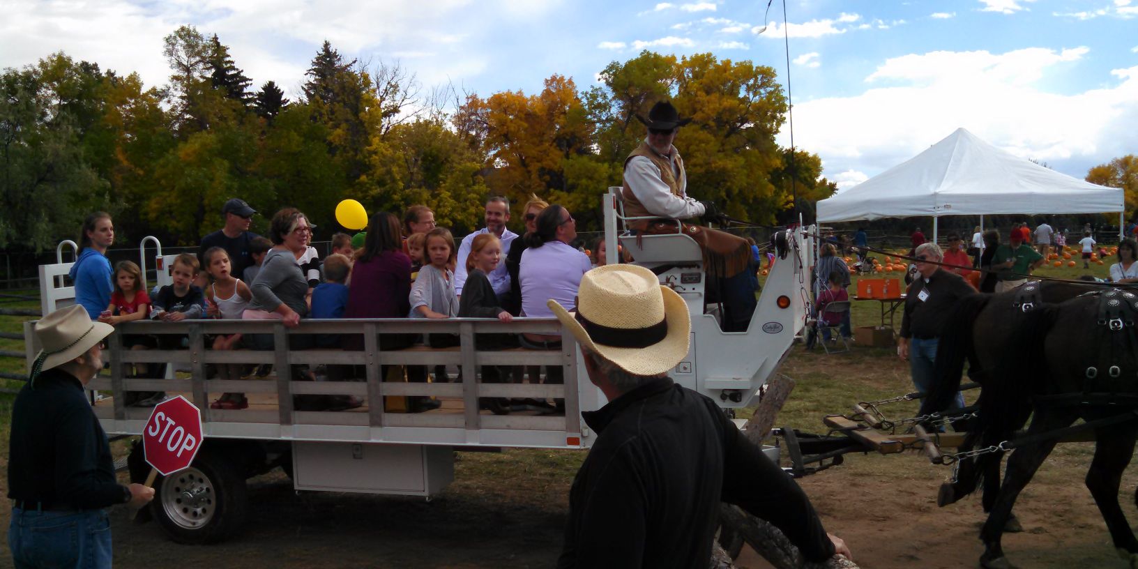 DLenshek's profile banner image