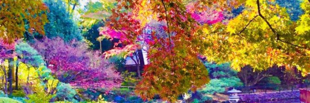 Alber_PHM's profile banner image