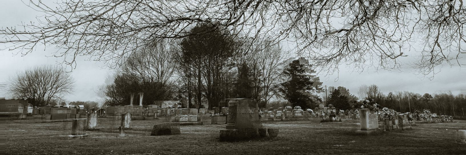 Johnny Taylor banner