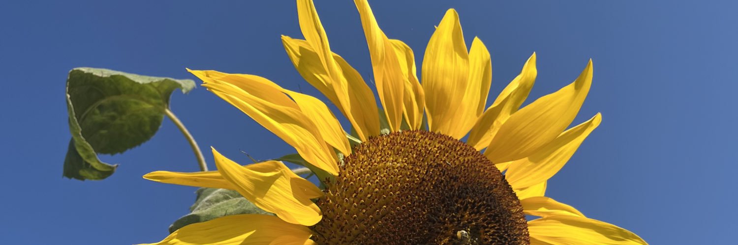 DubandAng's profile banner image
