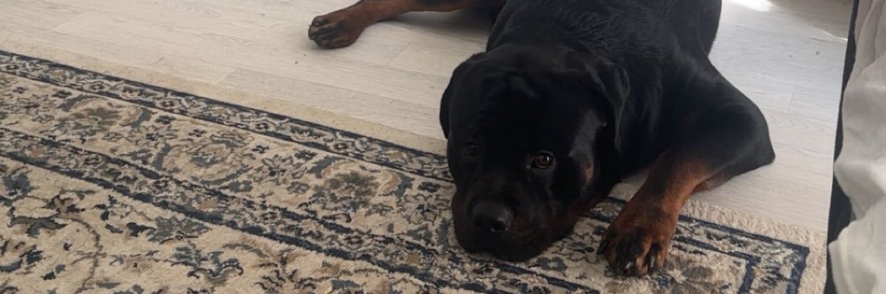 oopsydopsie's profile banner image