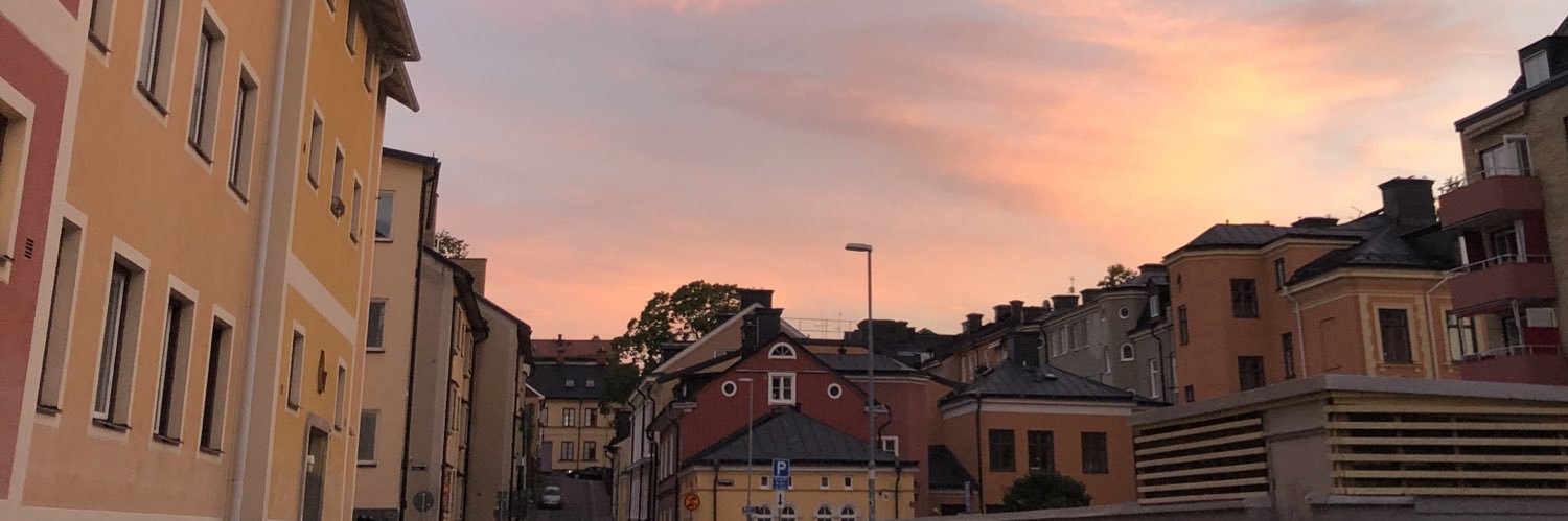 Fridaajohnssonn's profile banner image