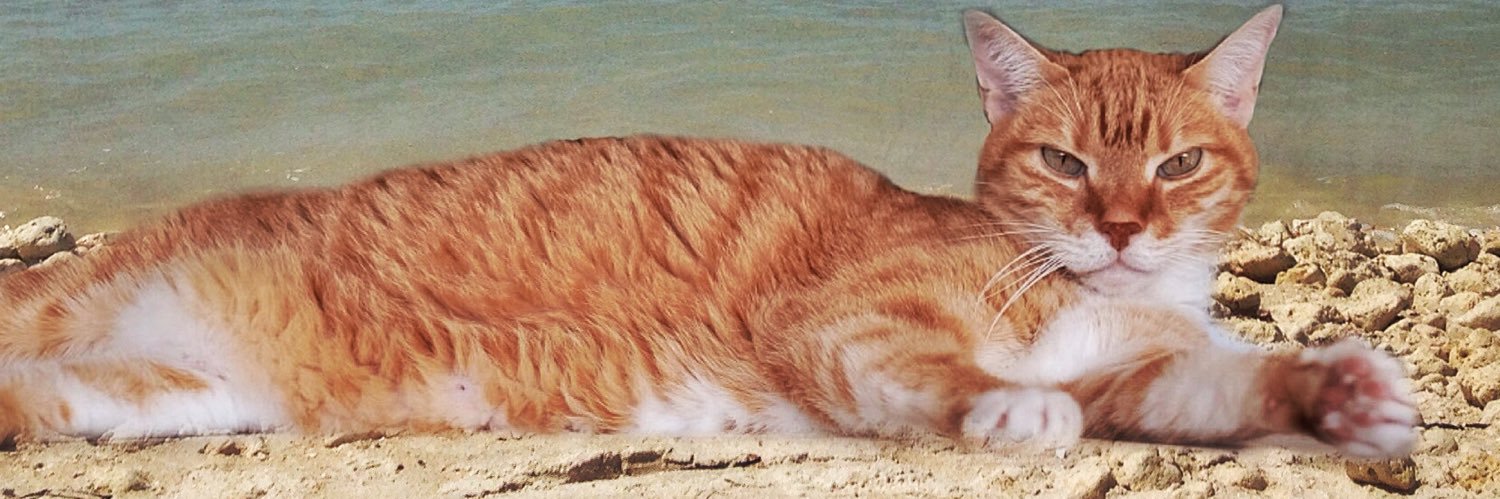 selectmute's profile banner image