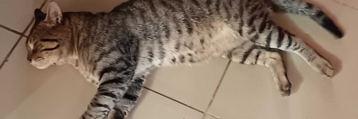 robertito586's profile banner image