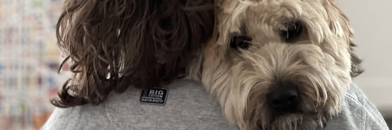 MollyChex's profile banner image