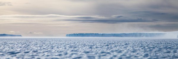 anorkko Profile Banner