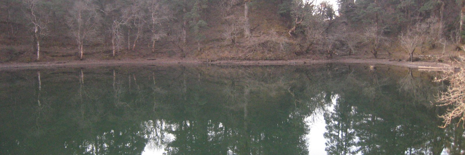 Rameshore Khanal banner